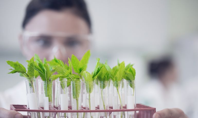 Biotechnologie