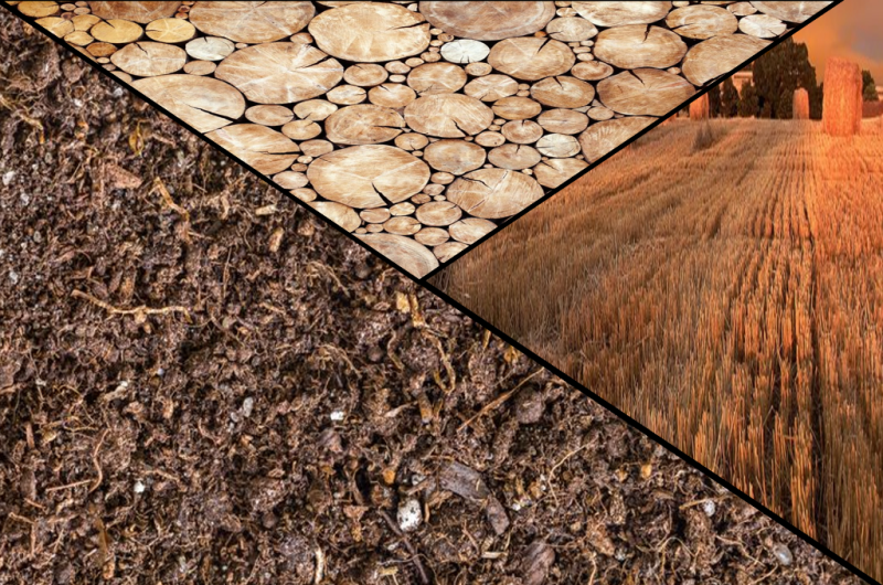 biosources
