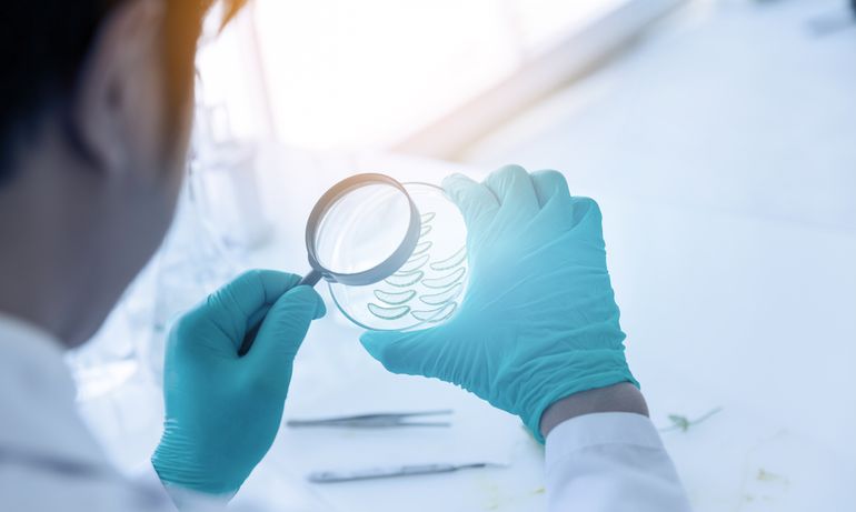 Biotechnologie